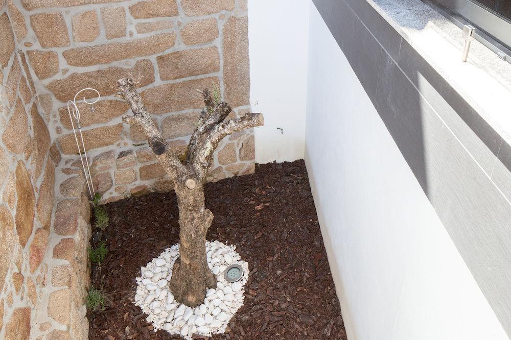 Casas Do Patio Country Houses & Nature Caldas da Felgueira Esterno foto