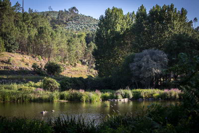 Casas Do Patio Country Houses & Nature Caldas da Felgueira Esterno foto