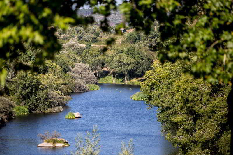 Casas Do Patio Country Houses & Nature Caldas da Felgueira Esterno foto